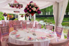 Pink bridal tent